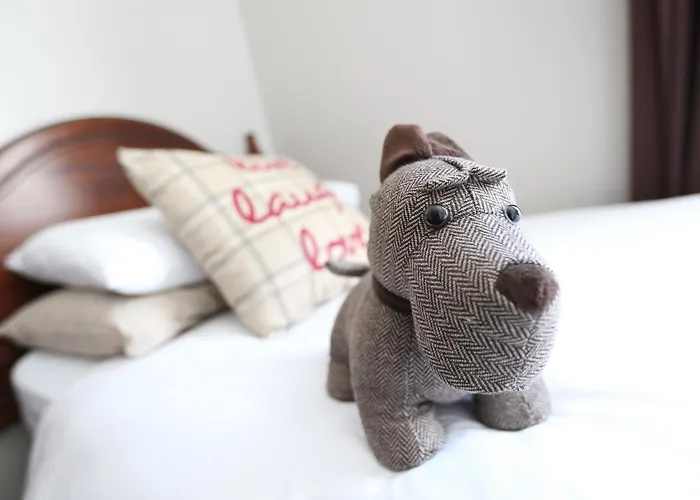 Arranmore House Bed & Breakfast Dublin