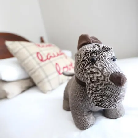 Arranmore House B&B 더블린